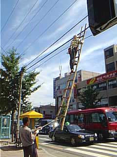 not the corporate ladder